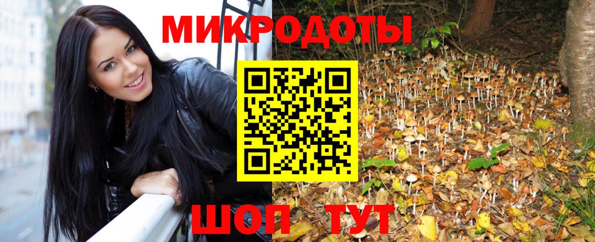 Галлюциногенные грибы GOLDEN TEACHER  Вход с VPN  Киселёвск 